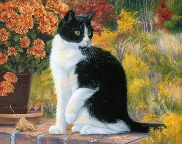Dipingere con i numeri - Gatto Bianco E Nero