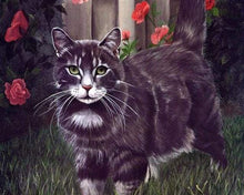 Carica l&#39;immagine nel visualizzatore di Gallery, Dipingere con i numeri - Gatto Nero