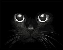 Carica l&#39;immagine nel visualizzatore di Gallery, Dipingere con i numeri - Testa Di Gatto Nero