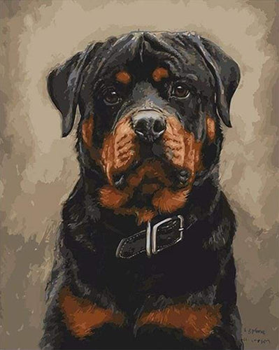 Dipingere con i numeri - Cane Nero