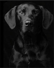 Carica l&#39;immagine nel visualizzatore di Gallery, Dipingere con i numeri - Ritratto Di Cane Nero