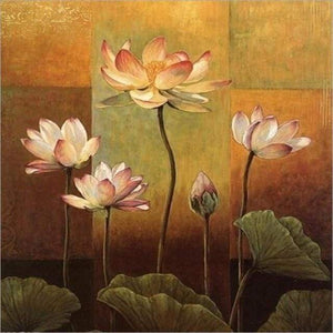 Dipingere con i numeri - Fioritura Di Loto