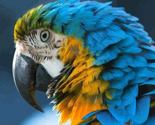 Carica l&#39;immagine nel visualizzatore di Gallery, Dipingere con i numeri - Ara Blu E Gialla