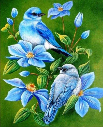 Dipingere con i numeri - Uccelli Blu