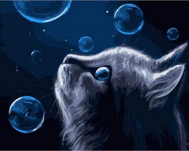 Dipingere con i numeri - Gatto Blu E Bolle