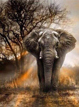 Carica l&#39;immagine nel visualizzatore di Gallery, Diamond Painting - Elefante Nella Savana 40x50cm tela già incorniciata
