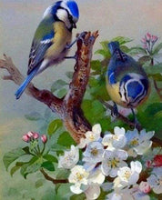 Carica l&#39;immagine nel visualizzatore di Gallery, Diamond Painting - Cinciallegre Sul Ramo 40x50cm tela già incorniciata
