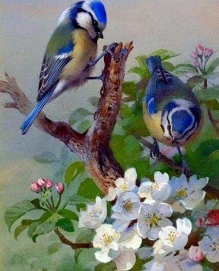 Diamond Painting - Cinciallegre Sul Ramo 40x50cm tela già incorniciata