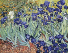 Carica l&#39;immagine nel visualizzatore di Gallery, Diamond Painting - Van Gogh - Iris