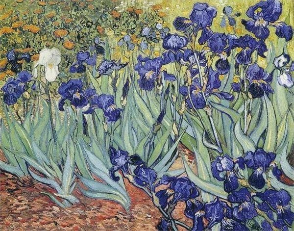 Diamond Painting - Van Gogh - Iris