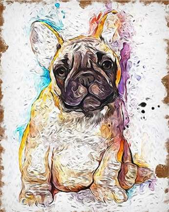 Dipingere con i numeri - Cane Marrone
