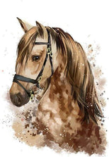 Carica l&#39;immagine nel visualizzatore di Gallery, Dipingere con i numeri - Cavallo Marrone
