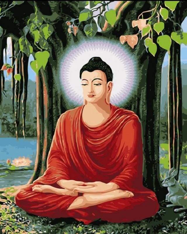 Dipingere con i numeri - Meditazione Del Buddha
