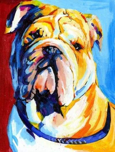 Dipingere con i numeri - Bulldog