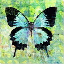 Carica l&#39;immagine nel visualizzatore di Gallery, Dipingere con i numeri - Farfalla Verde E Nera