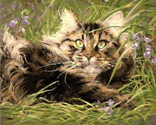 Carica l&#39;immagine nel visualizzatore di Gallery, Dipingere con i numeri - Gatto Nell&#39;Erba