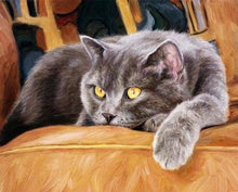 Carica l&#39;immagine nel visualizzatore di Gallery, Dipingere con i numeri - Gatto Sul Divano