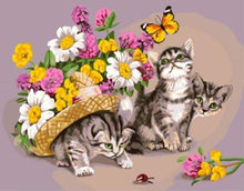 Carica l&#39;immagine nel visualizzatore di Gallery, Dipingere con i numeri - Gatto Che Gioca Con Una Farfalla