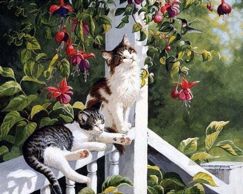 Dipingere con i numeri - Gatti E Colibrì