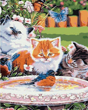 Carica l&#39;immagine nel visualizzatore di Gallery, Dipingere con i numeri - Gatti Che Guardano Un Uccello
