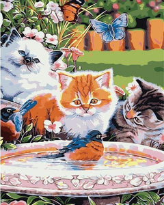 Dipingere con i numeri - Gatti Che Guardano Un Uccello