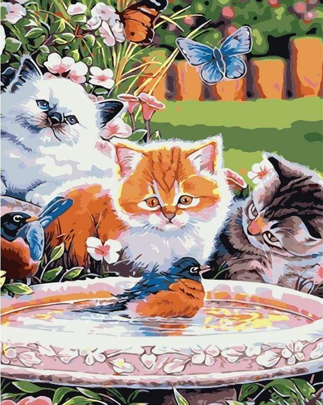 Dipingere con i numeri - Gatti Che Guardano Un Uccello