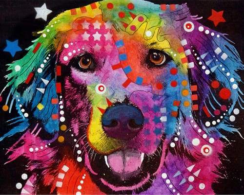 Dipingere con i numeri - Labrador Colorato