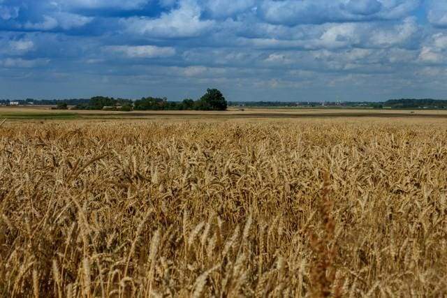 Dipingere con i numeri - Campo Di Campagna