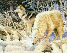 Carica l&#39;immagine nel visualizzatore di Gallery, Dipingere con i numeri - Coppia Di Lupi Bianchi