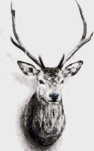 Carica l&#39;immagine nel visualizzatore di Gallery, Dipingere con i numeri - Testa Di Cervo In Bianco E Nero