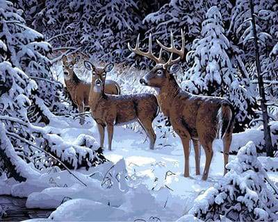 Dipingere con i numeri - Cervo Nella Neve