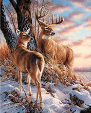 Carica l&#39;immagine nel visualizzatore di Gallery, Dipingere con i numeri - Cervi In Inverno