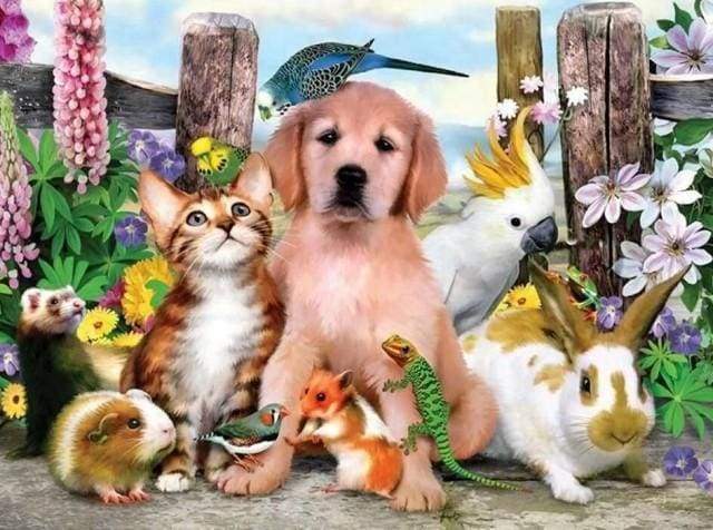 Diamond Painting - Famiglia Di Animali