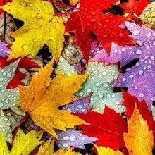 Carica l&#39;immagine nel visualizzatore di Gallery, Diamond Painting - Foglie D&#39;Autunno