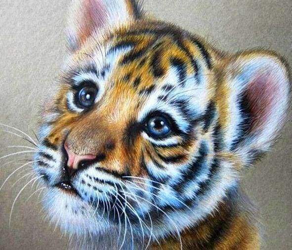 Diamond Painting - Cucciolo Di Tigre – Figured'Art