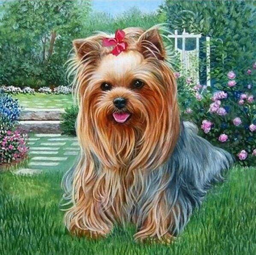Diamond Painting - Maltese