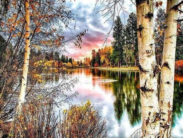 Diamond Painting - Betulle E Lago