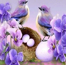 Carica l&#39;immagine nel visualizzatore di Gallery, Diamond Painting - Uccelli E Uova
