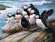 Carica l&#39;immagine nel visualizzatore di Gallery, Diamond Painting - Uccelli In Mare