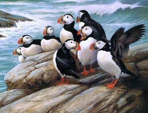 Diamond Painting - Uccelli In Mare