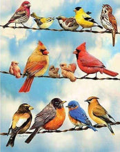 Carica l&#39;immagine nel visualizzatore di Gallery, Diamond Painting - Linee Di Uccelli