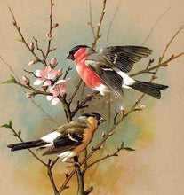 Carica l&#39;immagine nel visualizzatore di Gallery, Diamond Painting - Uccelli Sul Ramo