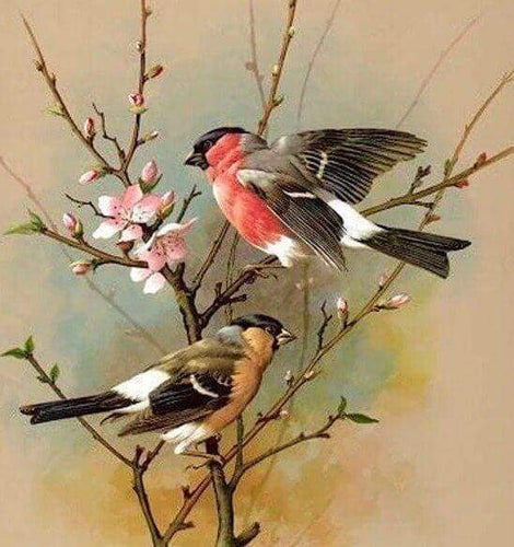 Diamond Painting - Uccelli Sul Ramo