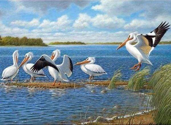 Diamond Painting - Uccelli Sul Lago