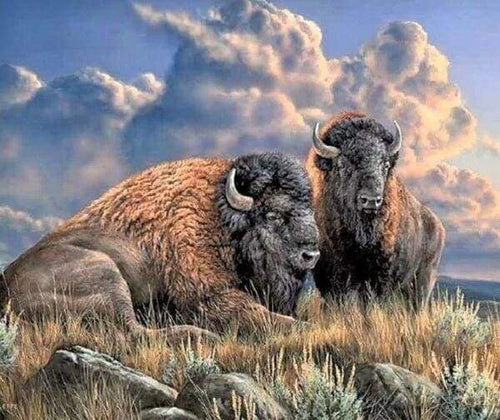 Diamond Painting - Bisonte