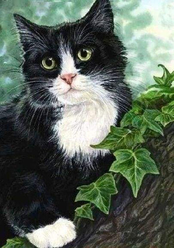 Diamond Painting - Gatto Bianco E Nero
