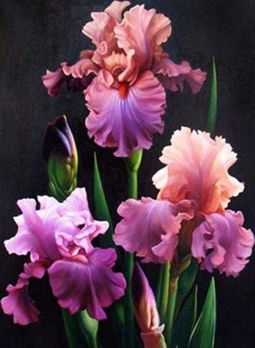 Diamond Painting - Iris In Fiore