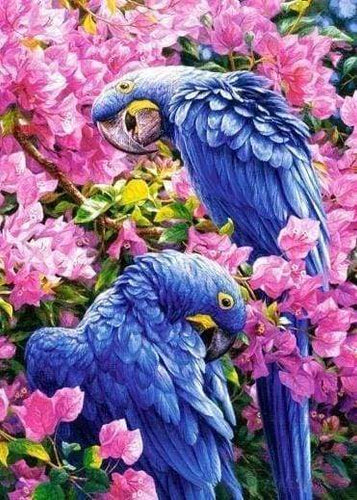 Diamond Painting - Pappagalli Blu