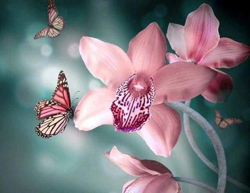 Diamond Painting - Farfalla E Orchidea