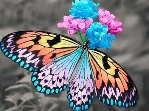 Diamond Painting - Farfalla Che Raccoglie Il Polline